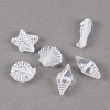 Craft Style Transparent Acrylic Charms X-TACR-S131-07-1