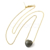 Natural Labradorite Heart Pendant Necklace with Golden Alloy Cable Chains NJEW-G116-01G-2