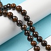 Natural Yellow Tiger Iron Beads Strands G-C079-A03-01-2