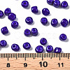 6/0 Glass Seed Beads SEED-S058-A-F304-4