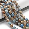 Dyed Natural Regalite/Imperial Jasper/Sea Sediment Jasper Beads Strands G-B124-C01-03-2