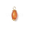 6Pcs Natural Agate(Dyed & Heated) Pendants PALLOY-JF04532-02-3