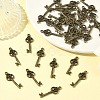 Tibetan Style Alloy Pendants X-PALLOY-N0118-146-5