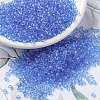 MIYUKI Round Rocailles Beads X-SEED-G008-RR0159-1