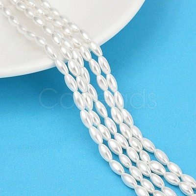 Electroplated Shell Pearl Beads Strands BSHE-Z009-10A-1