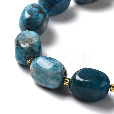 Natural Apatite Beads Strands G-B028-B09-1