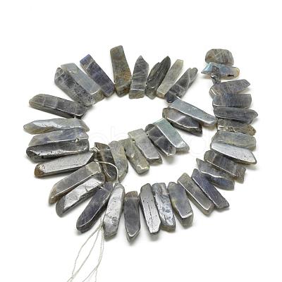 Natural Labradorite Beads Strands G-R419-03-1