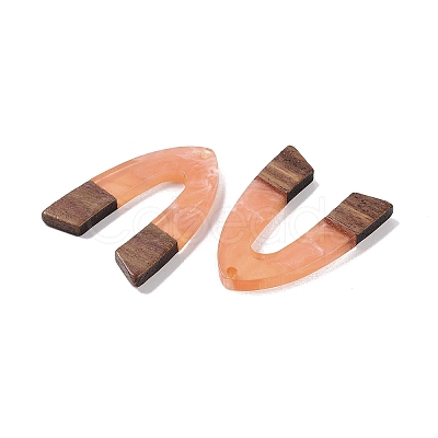 Resin & Wood Pendants WOOD-F015-16E-1