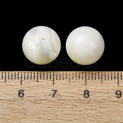 Natural Trochid Shell/Trochus Shell Beads SH-CBA2978-22-1