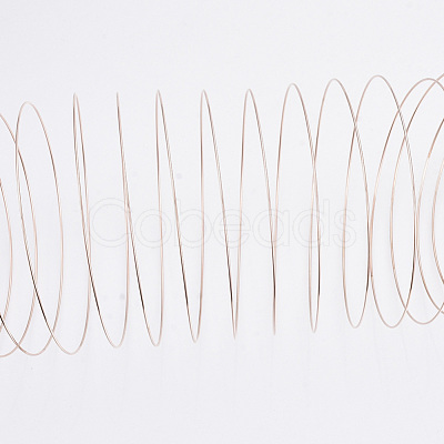 Steel Memory Wire TWIR-R006-0.6x60-RG-NF-1