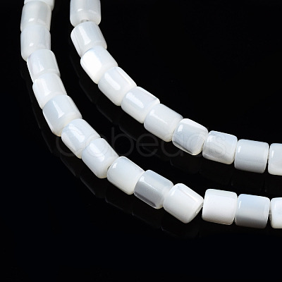 Natural Trochid Shell/Trochus Shell Beads Strands SSHEL-N034-77-A01-1