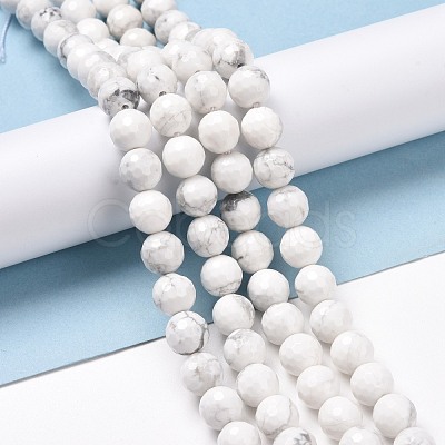 Natural Howlite Beads Strands G-E571-29B-1