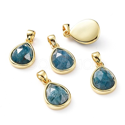 Natural Apatite Charms G-L553-47G-1