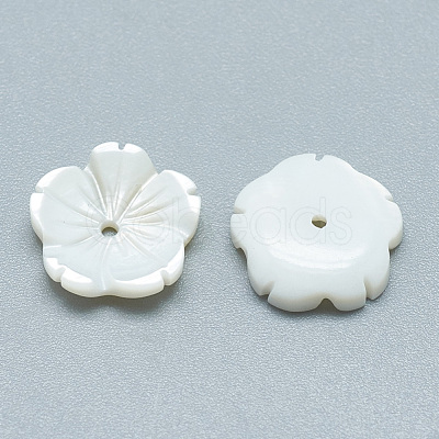 Freshwater Shell Beads SHEL-S275-009-1