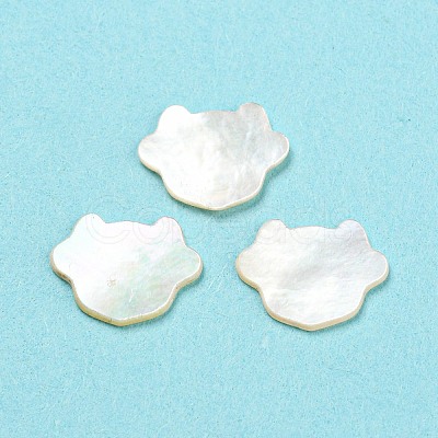 Natural Sea Shell Cabochons SHEL-D079-15-1