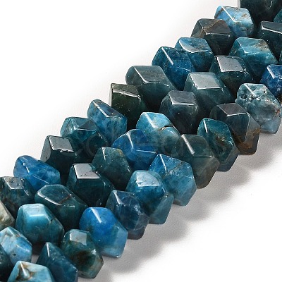 Natural Apatite Beads Strands G-N327-05-06-1