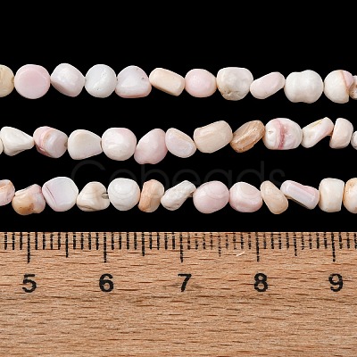 Natural Shell Beads Strands SHEL-K006-76-1