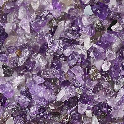 Natural Amethyst Chip Beads G-L453-06-1