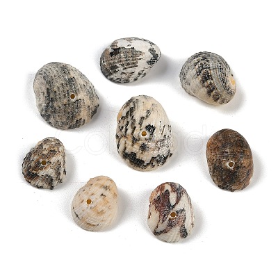 Natural Shell Beads SHEL-K009-17A-1