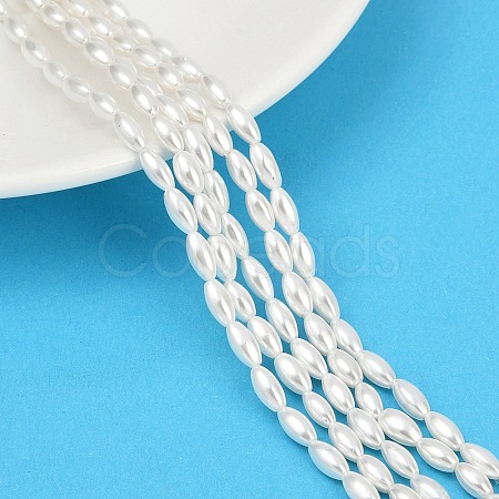 Electroplated Shell Pearl Beads Strands BSHE-Z009-10A-1