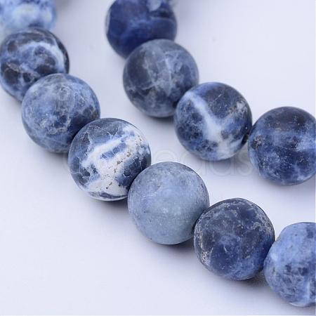 Natural Sodalite Beads Strands G-Q462-10mm-07-1