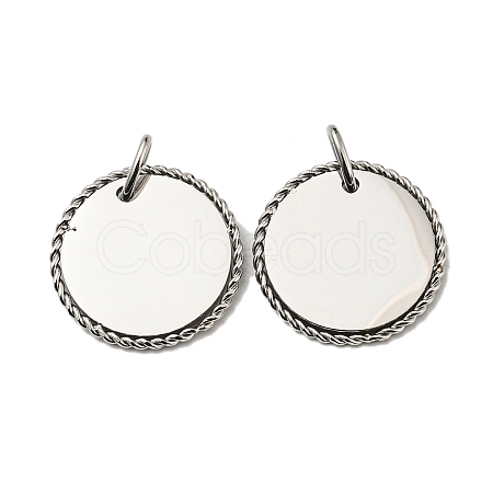 Non-Tarnish 304 Stainless Steel Pendants STAS-L022-183P-1