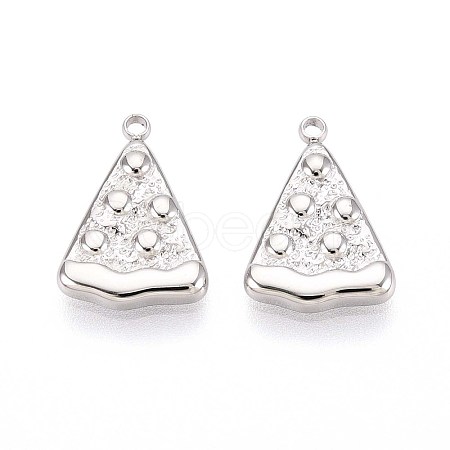 304 Stainless Steel Charms STAS-N109-255P-1