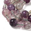 Natural Fluorite 3-Hole Guru Beads Strands G-H064-E10-01-3