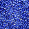 8/0 Czech Opaque Glass Seed Beads SEED-N004-003A-25-4