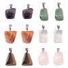 12Pcs 6 Style Natural & Synthetic Gemstone Pendants G-FS0001-35-1