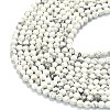 Natural Howlite Beads Strands G-A260-A25-01-3
