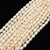 Natural Cultured Freshwater Pearl Beads Strands PEAR-L001-E-20-1