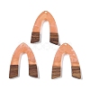 Resin & Wood Pendants WOOD-F015-16E-1