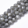 Natural Labradorite Beads Strands G-R465-33B-1