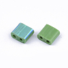 FGB 2-Hole Glass Seed Beads SEED-S031-L-047-R-2