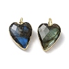 Natural Mixed Stone Pendants G-G012-11G-B-2