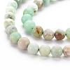 Natural Chrysoprase Beads Strands X-G-S333-6mm-037-3