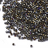 FGB 11/0 Grade A Glass Seed Beads X-SEED-S030-0007-2