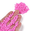Baking Paint Glass Seed Beads SEED-S003-K2-4