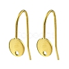 304 Stainless Steel Earring Hooks STAS-B087-09A-G-1