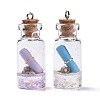Glass Wishing Bottle Pendant Decorations GLAA-S181-02-3