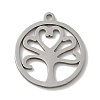 Non-Tarnish 201 Stainless Steel Pendants LS-STAS-E206-03P-04-1
