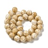 Natural Trochus Shell Beads Strands SHEL-K006-18C-2