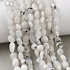 Natural Rainbow Moonstone Beads Strands GG-CBAAEDE-B05-1