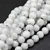 Natural Rainbow Moonstone Beads Strands G-I249-B04-03-1