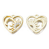 Alloy Pendants PALLOY-S132-259-NR-2