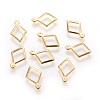 304 Stainless Steel Charms STAS-P227-24G-1