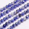 Natural Blue Spot Jasper Beads Strands G-G545-17-1