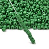 TOHO 6/0 Round Beads X-SEED-TR06-0047D-2