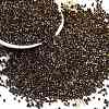 Electroplate Glass Seed Beads SEED-H003-10I-1